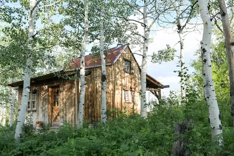 24610 Mcalpin Trl, Clark, CO 80428