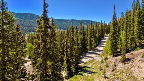 797 Peterson Dr, Alma, CO 80440