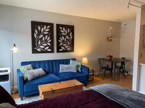 110 S Park Ave #102, Breckenridge, CO 80424