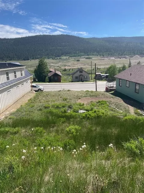137 12 Main St, Alma, CO 80420