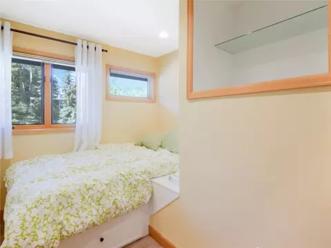 329 W Buffalo St, Dillon, CO 80435 photo 22