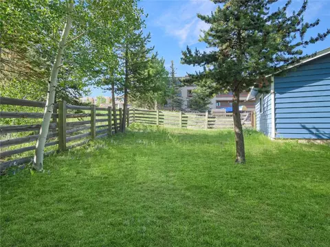 329 W Buffalo St, Dillon, CO 80435 photo 45