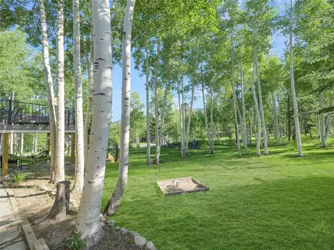 329 W Buffalo St, Dillon, CO 80435 photo 46