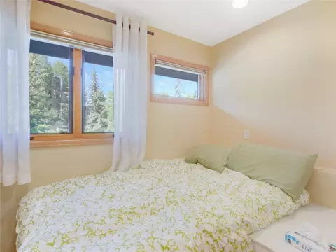 329 W Buffalo St, Dillon, CO 80435 photo 23