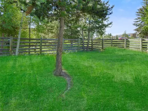 329 W Buffalo St, Dillon, CO 80435 photo 47