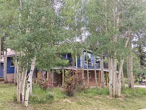 329 W Buffalo St, Dillon, CO 80435 photo 48
