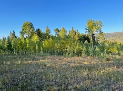 Tbd Wagon Wheel, Oak Creek, CO 80467