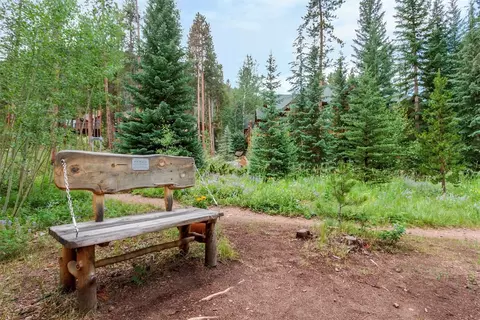 91 Lenawee Ln, Keystone, CO 80435 photo 37