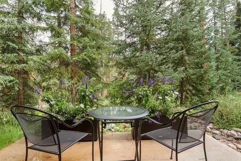 91 Lenawee Ln, Keystone, CO 80435 photo 27