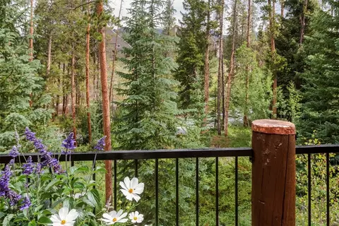 91 Lenawee Ln, Keystone, CO 80435 photo 23