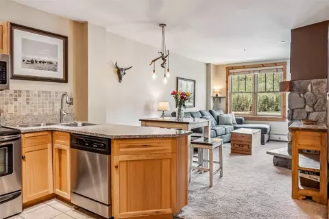 100 Dercum Sq N #8386, Keystone, CO 80435