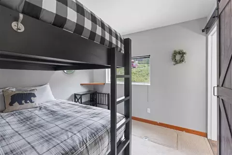 72 Titmouse Dr, Alma, CO 80420 photo 21