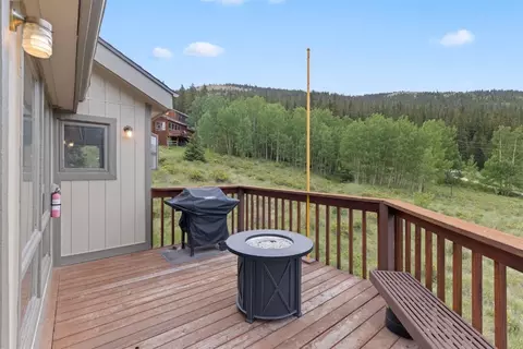 72 Titmouse Dr, Alma, CO 80420 photo 29