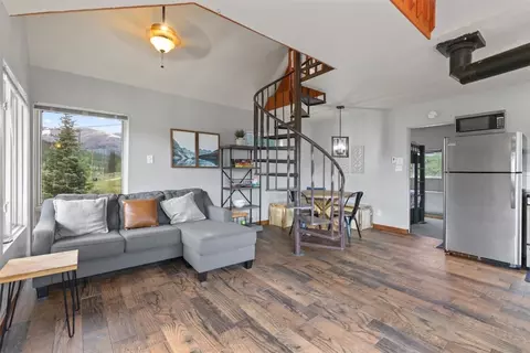 72 Titmouse Dr, Alma, CO 80420 photo 3