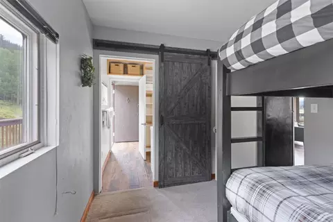 72 Titmouse Dr, Alma, CO 80420 photo 20