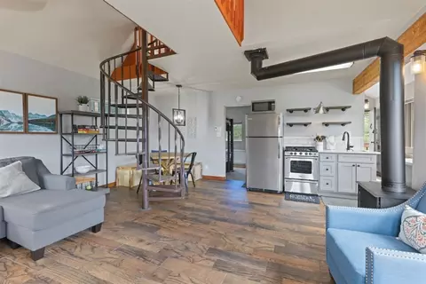 72 Titmouse Dr, Alma, CO 80420 photo 6
