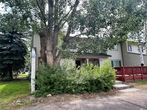 21 Cedar Ct #21, Steamboat Springs, CO 80487