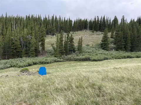 00 Forest Road 450, Alma, CO 80420