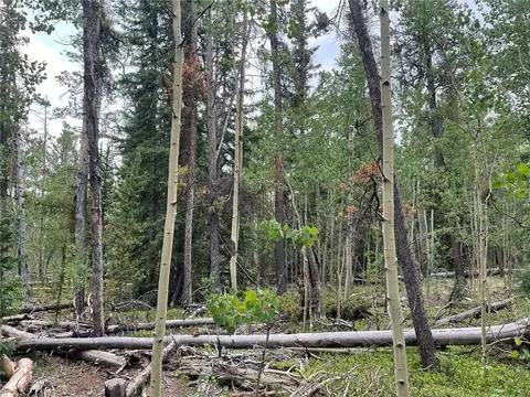 00 Rye Ct, Fairplay, CO 80440