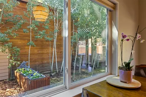 1649 N Badger Ln, Silverthorne, CO 80498 photo 41