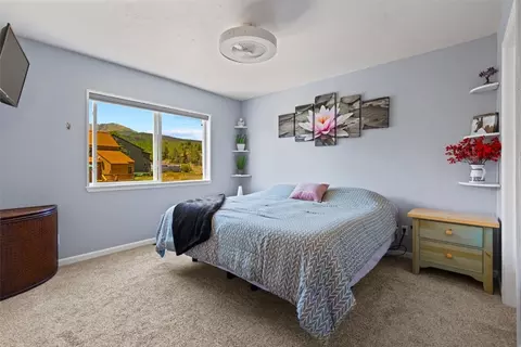 1649 N Badger Ln, Silverthorne, CO 80498 photo 18