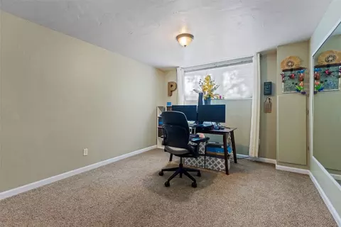 1649 N Badger Ln, Silverthorne, CO 80498 photo 23