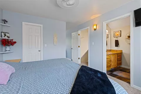 1649 N Badger Ln, Silverthorne, CO 80498 photo 19