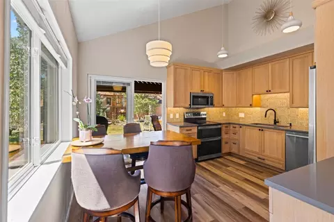 1649 N Badger Ln, Silverthorne, CO 80498 photo 9