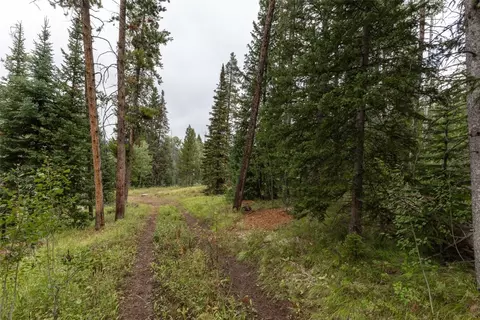 39455 Crows Nest Dr, Clark, CO 80428 photo 17