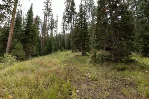 39455 Crows Nest Dr, Clark, CO 80428 photo 11
