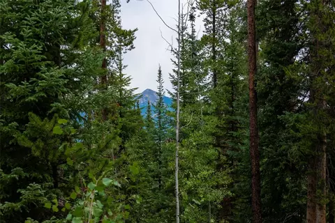 39455 Crows Nest Dr, Clark, CO 80428 photo 4