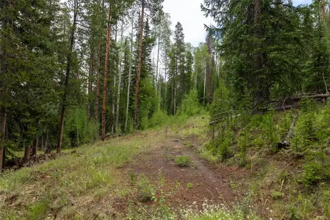 39455 Crows Nest Dr, Clark, CO 80428