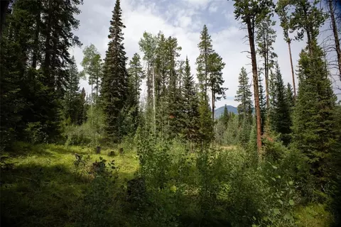 39455 Crows Nest Dr, Clark, CO 80428 photo 2