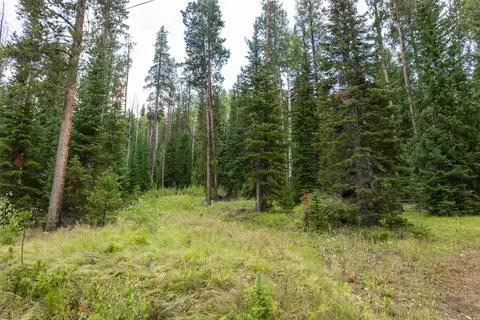 39455 Crows Nest Dr, Clark, CO 80428 photo 5
