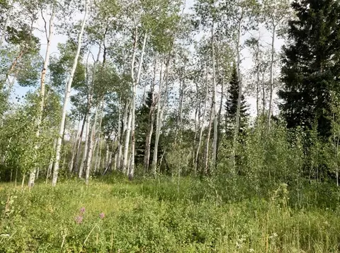 tbd Wagon Wheel Trl, Oak Creek, CO 80467