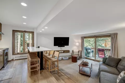 1100 Ski Hill Rd #E33, Breckenridge, CO 80424