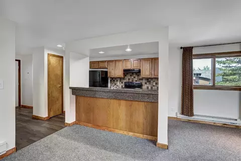 188 E La Bonte St #321, Dillon, CO 80435 photo 6