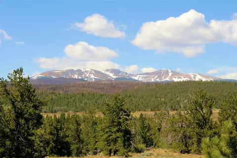 2512 Willow Creek Ln, Fairplay, CO 80440