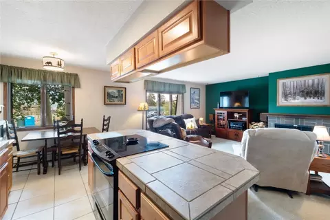240 E La Bonte St #35, Dillon, CO 80435 photo 9