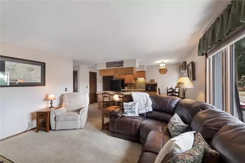 240 E La Bonte St #35, Dillon, CO 80435 photo 3