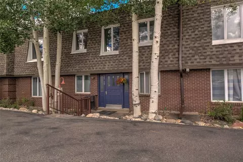 240 E La Bonte St #35, Dillon, CO 80435 photo 20