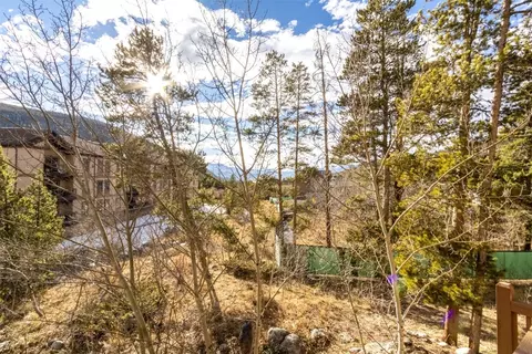 67 W Hanson Rd, Keystone, CO 80435 photo 37