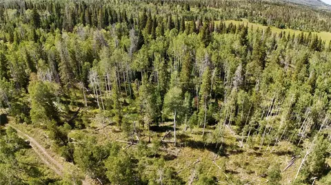 lot81 S Station I, Oak Creek, CO 80467