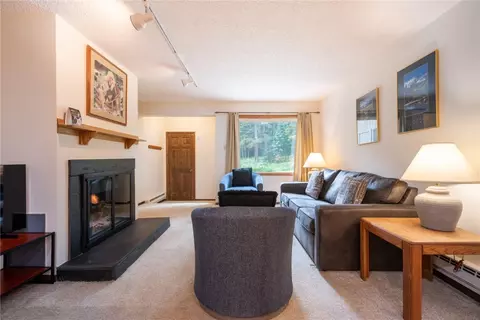 108 Guller Rd #B3, Copper Mountain, CO 80443 photo 3