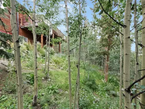 420 Aspen St, Alma, CO 80420 photo 32