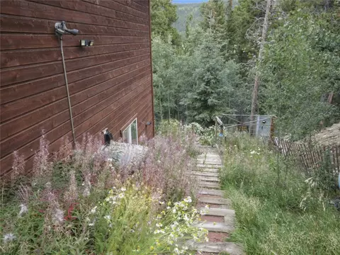 420 Aspen St, Alma, CO 80420 photo 29