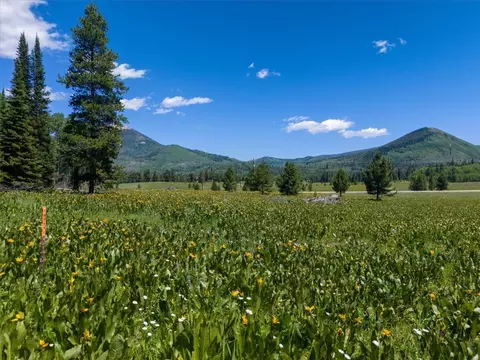 60200 Quail Dr, Clark, CO 80428 photo 6