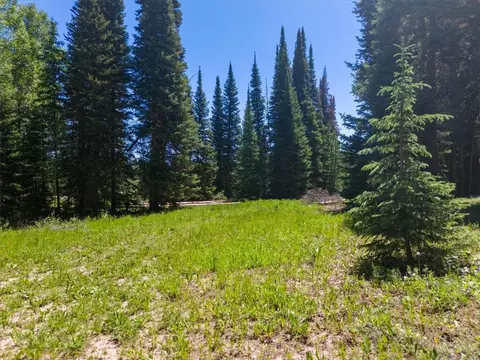 60200 Quail Dr, Clark, CO 80428 photo 4