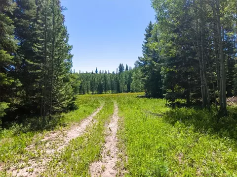 60200 Quail Dr, Clark, CO 80428 photo 5