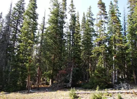 227 Robertson Ln, Breckenridge, CO 80424